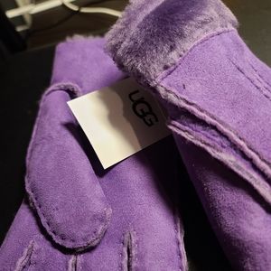 Classic Tasman Genuine Shearling Gloves